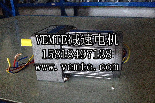 小電機(jī)，小型調(diào)速電機(jī),微型減速電機(jī) (2)